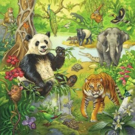 Puzzle Aventuri In Jungla, 3X49 Piese Ravensburger - 1